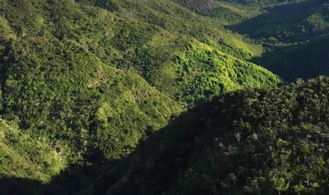 Discover Black River Gorges: The Largest National Park in Mauritius