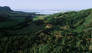 La Vallée de Ferney