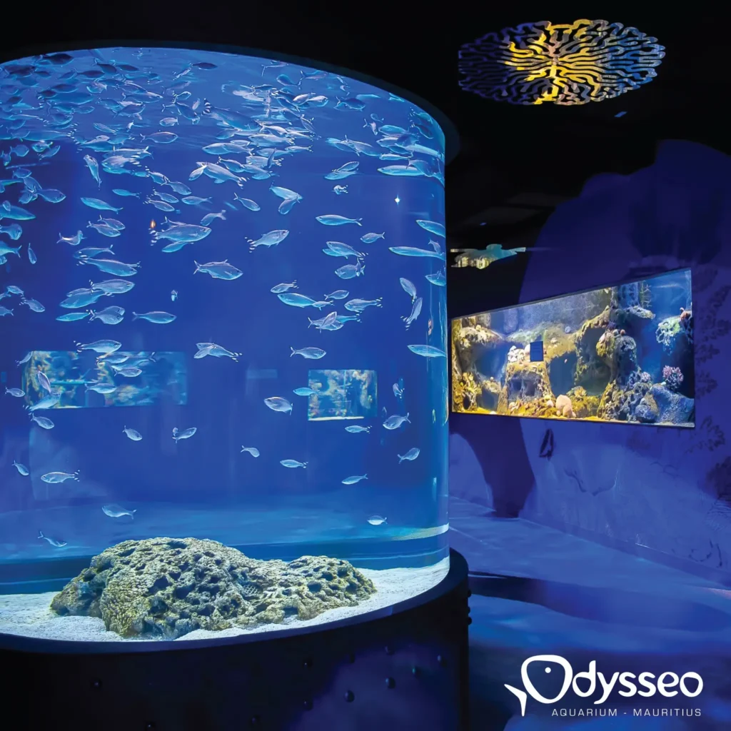 Odysseo Oceanarium