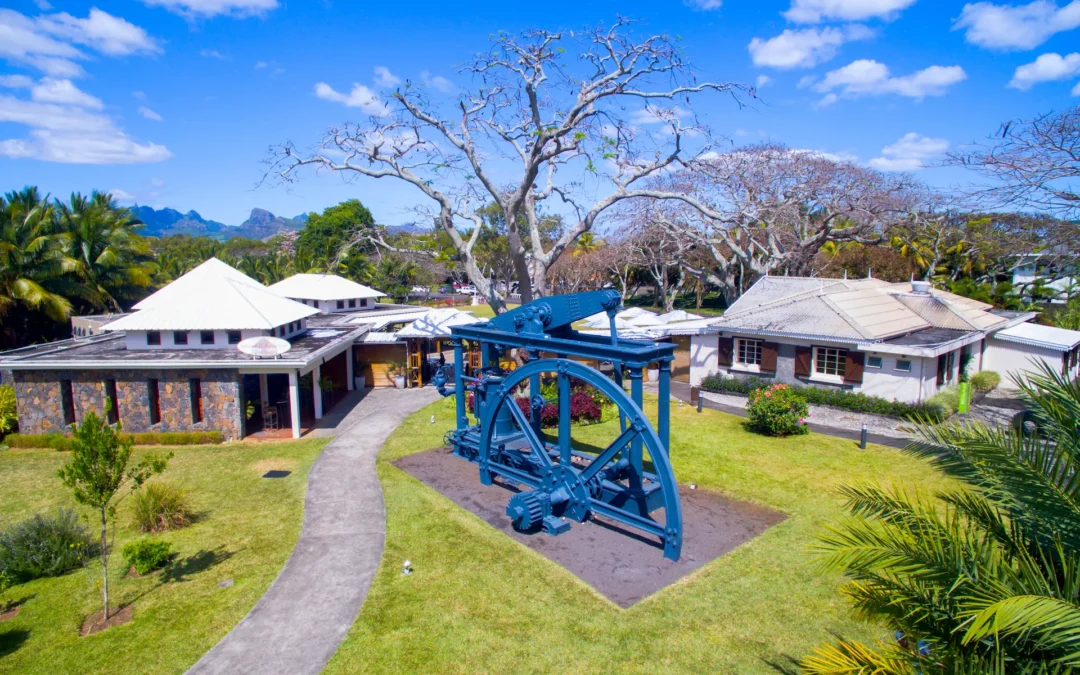 L’Aventure Du Sucre: Discover the Legacy of Sugar