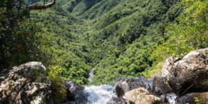 national parks mauritius