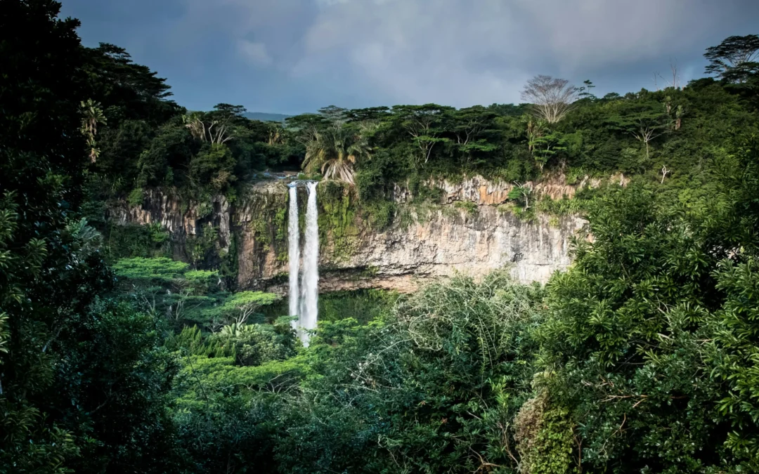 Discover and Enjoy A Hike to Chamarel Waterfall: A Journey to Nature’s Oasis
