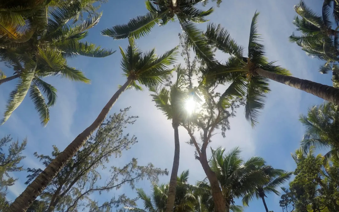 Mauritius designated as the safest country in Africa