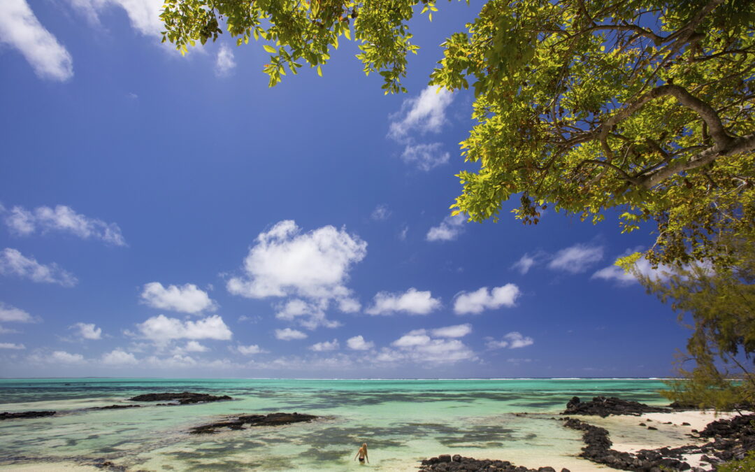 The Weather in Mauritius